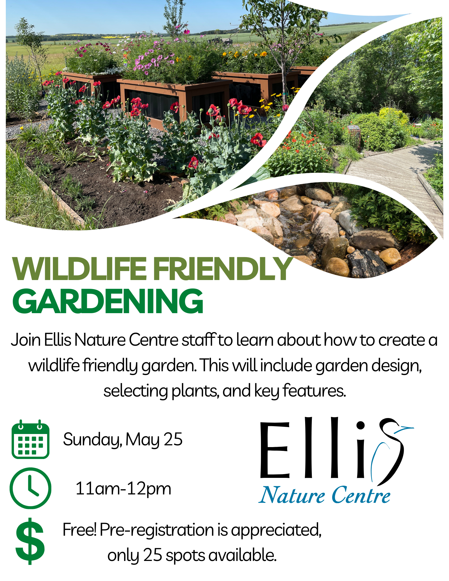 Wildlife Friendly Gardening
