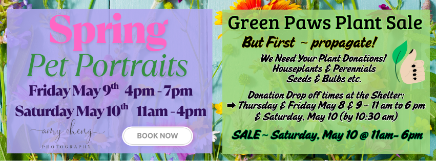 CA Humane Green Paws Plant Sale