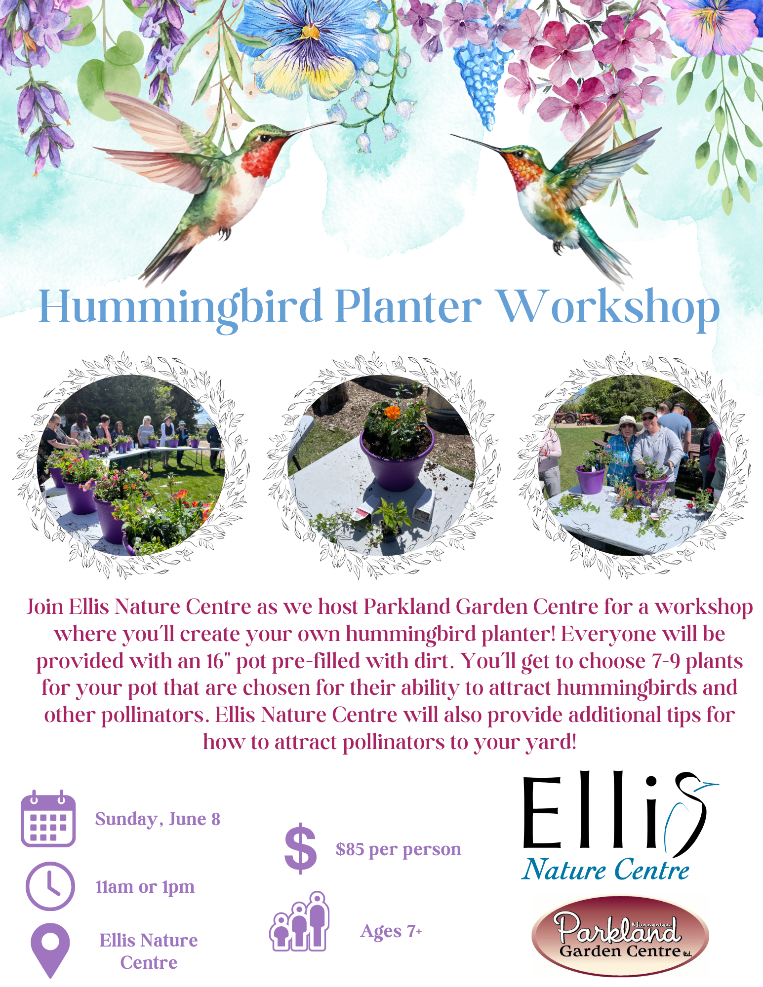 Hummingbird Planter - 11 am