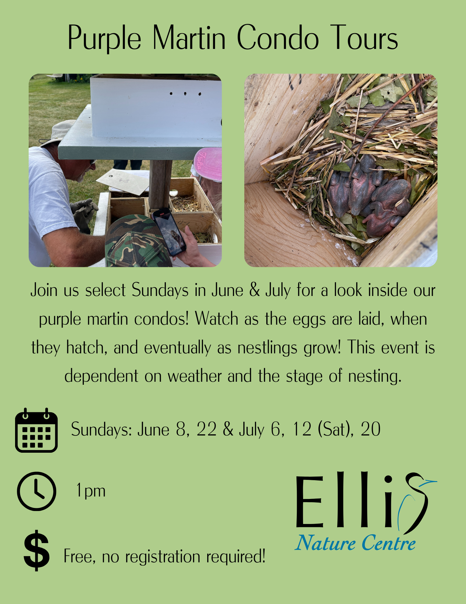 Purple Martin Condo Tours