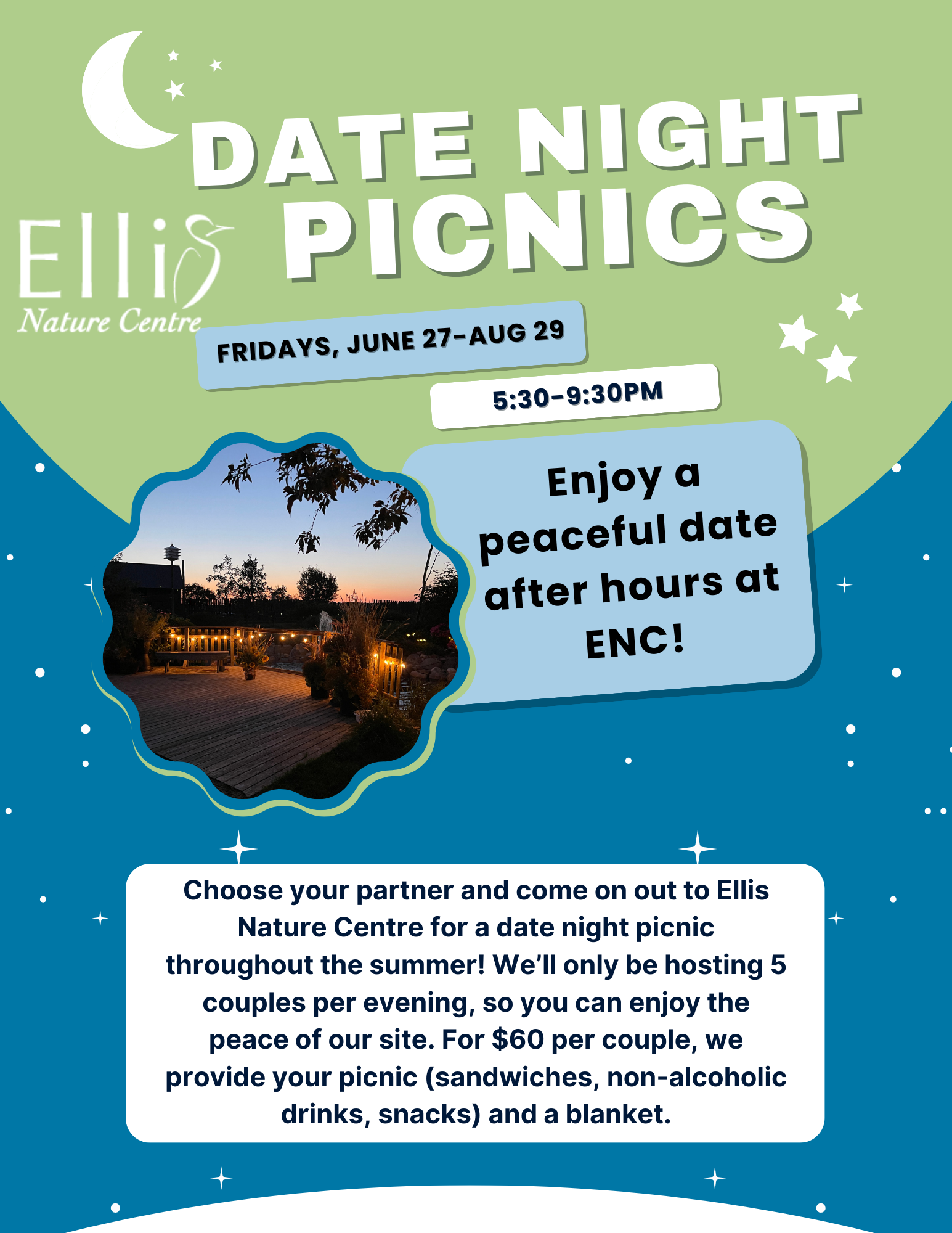 Date Night Picnics