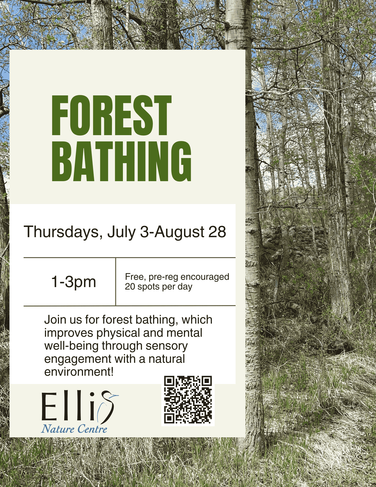 Forest Bathing