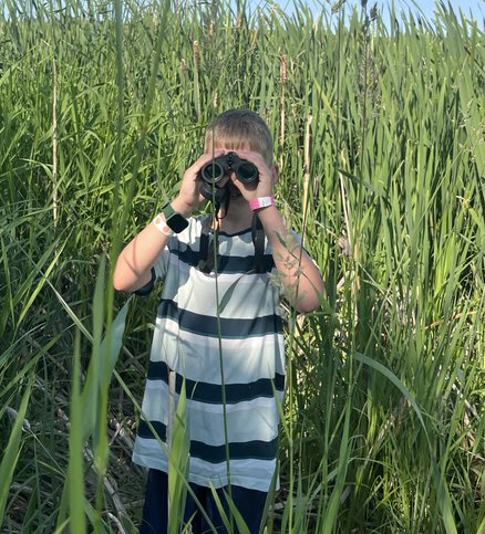 Junior Naturalists: Wetlands