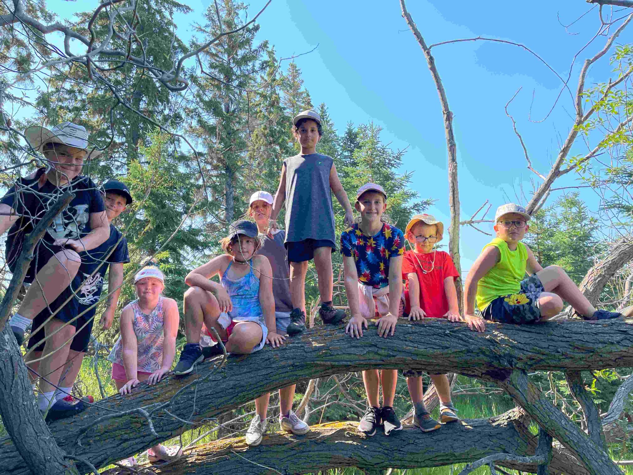 Junior Naturalists Birding