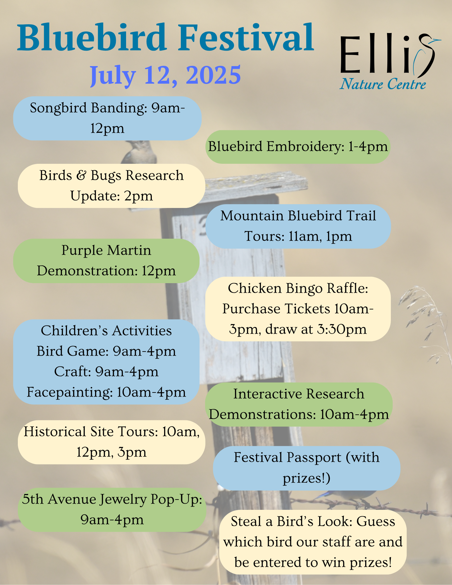 Bluebird Festival