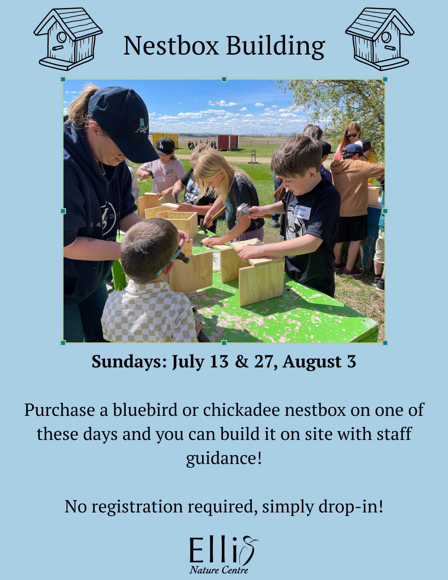 Nestbox (Birdhouse) Building