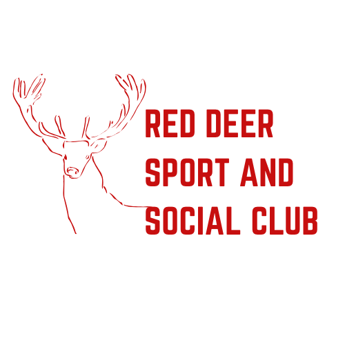 Adult Co-ed Kickball