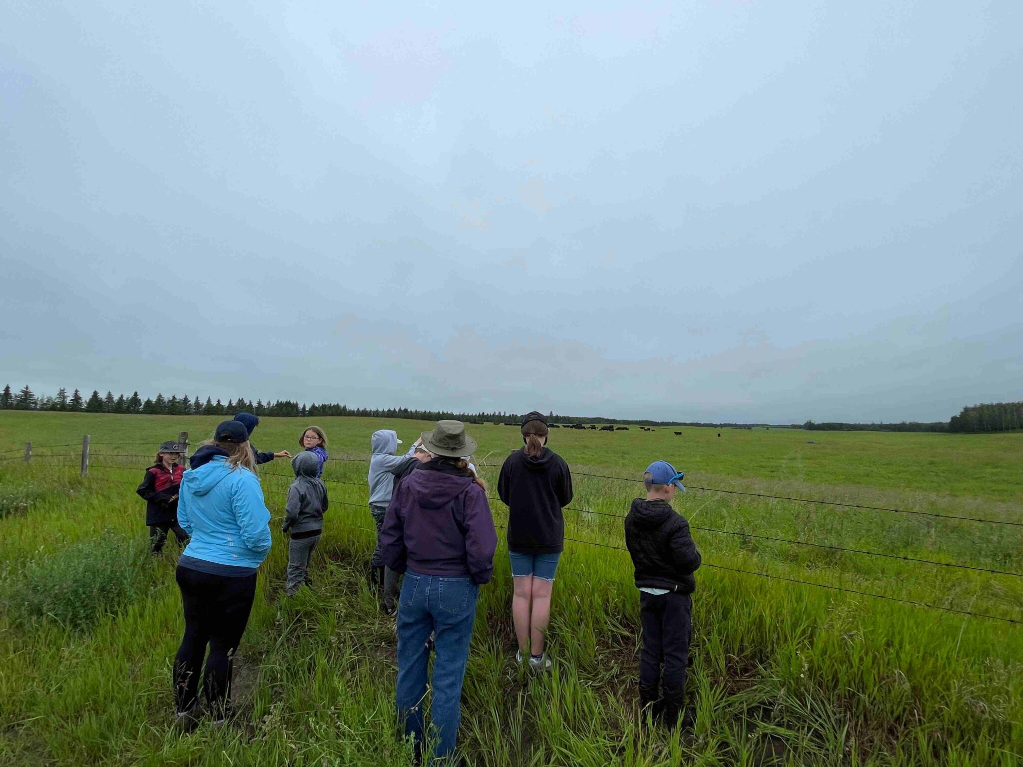 Junior Naturalists: Wildlife