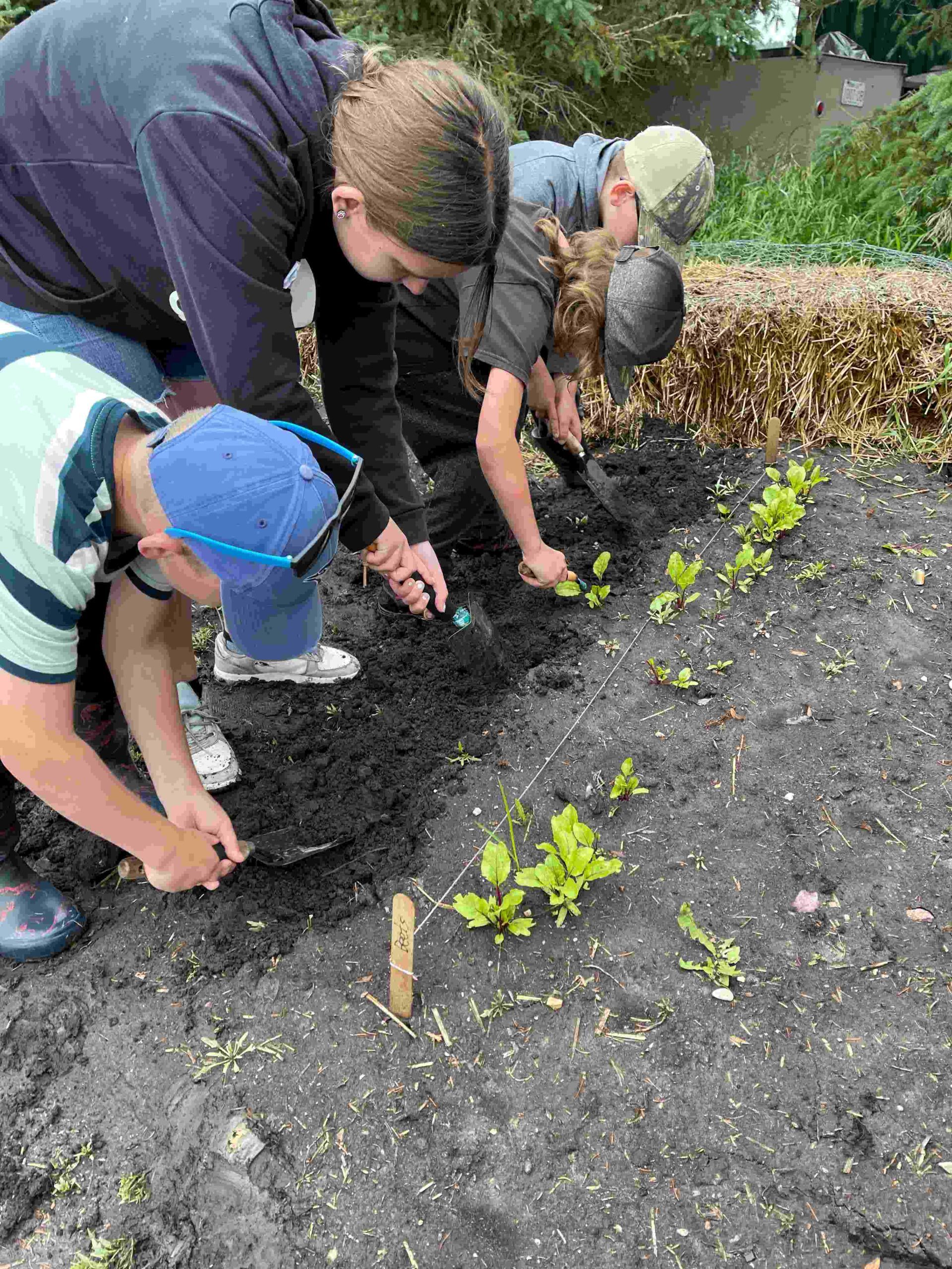 Junior Naturalists Sensory Exploration