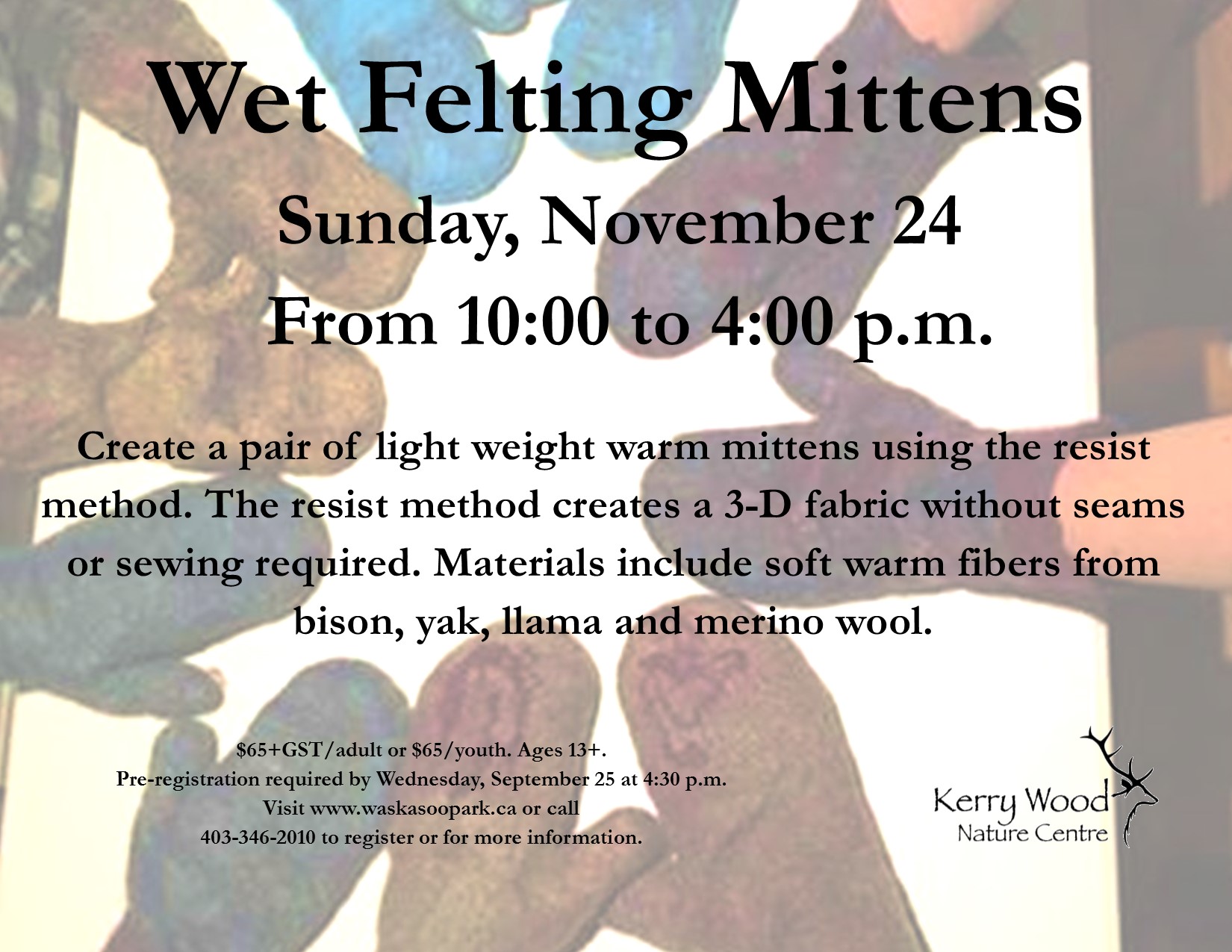 Felting Workshop